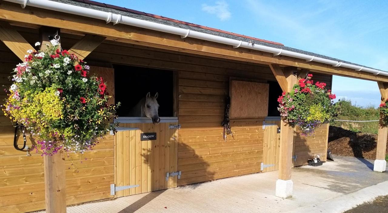 Villa Rosebank Barn Brentor Exterior foto